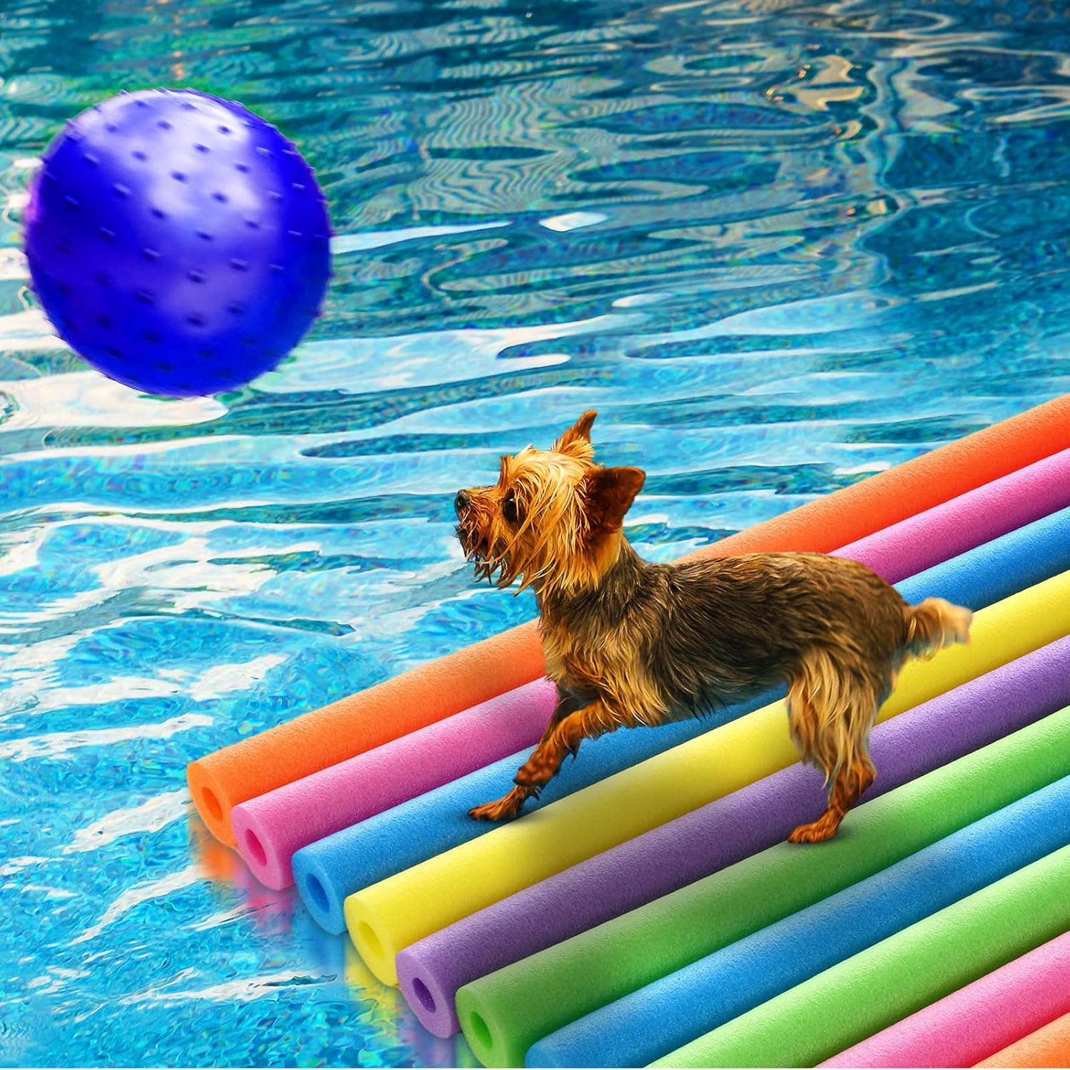 18本入りプールヌードルセット 39 x 2.24インチ フ - Foam Pool Noodle のレビューと価格